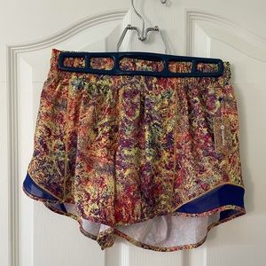 Lululemon seawheeze hotty hot shorts, size 6 tall NWT